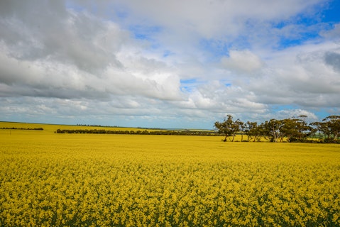 Agworld Farm Management Software Client, Robertson Family, Kulin, WA