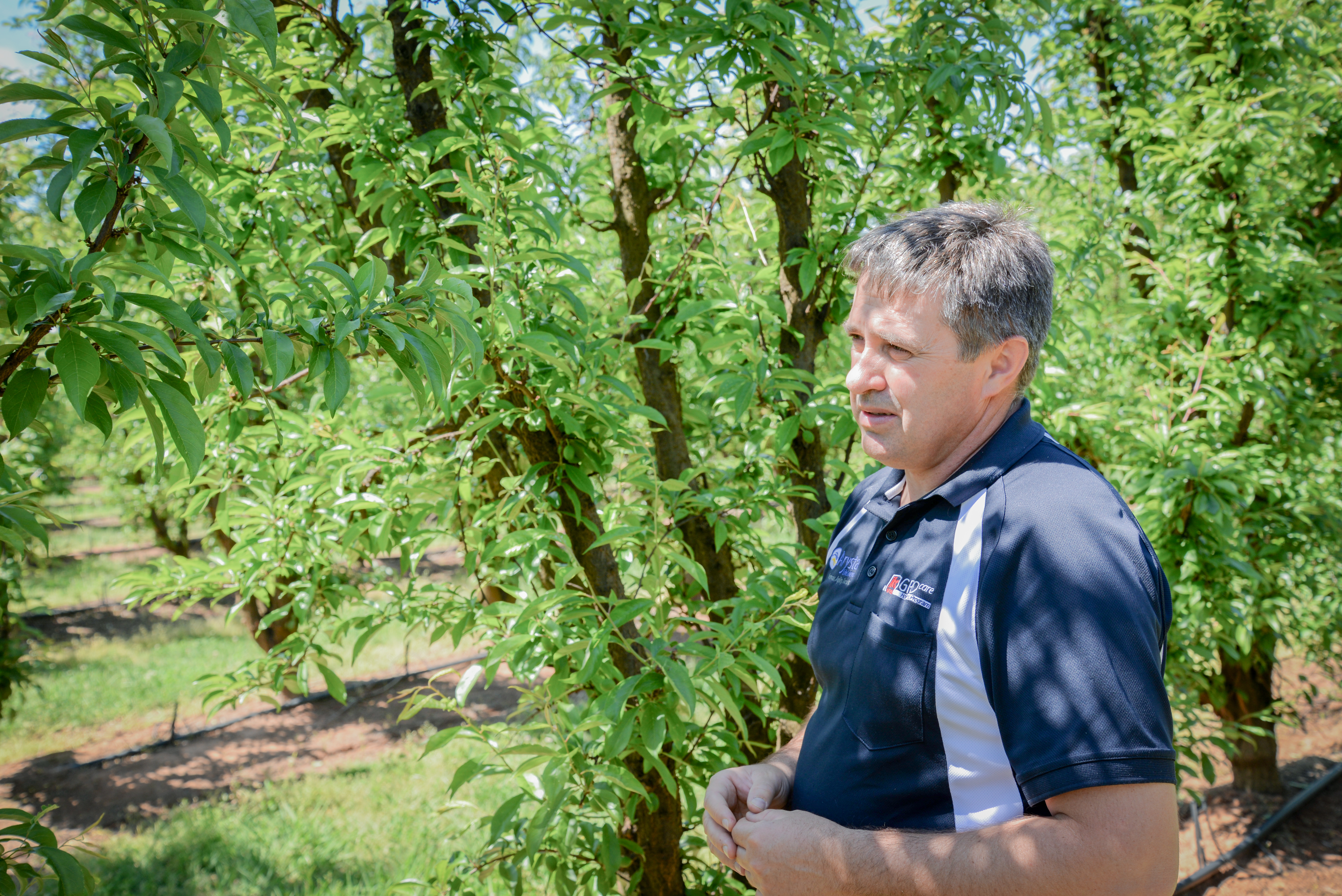 Agworld client, Ruaan Du Plessis Agronomist, fruit orchard Victorian Goulburn Valley