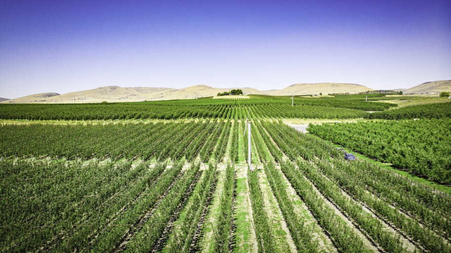 California Product Registration Numbers