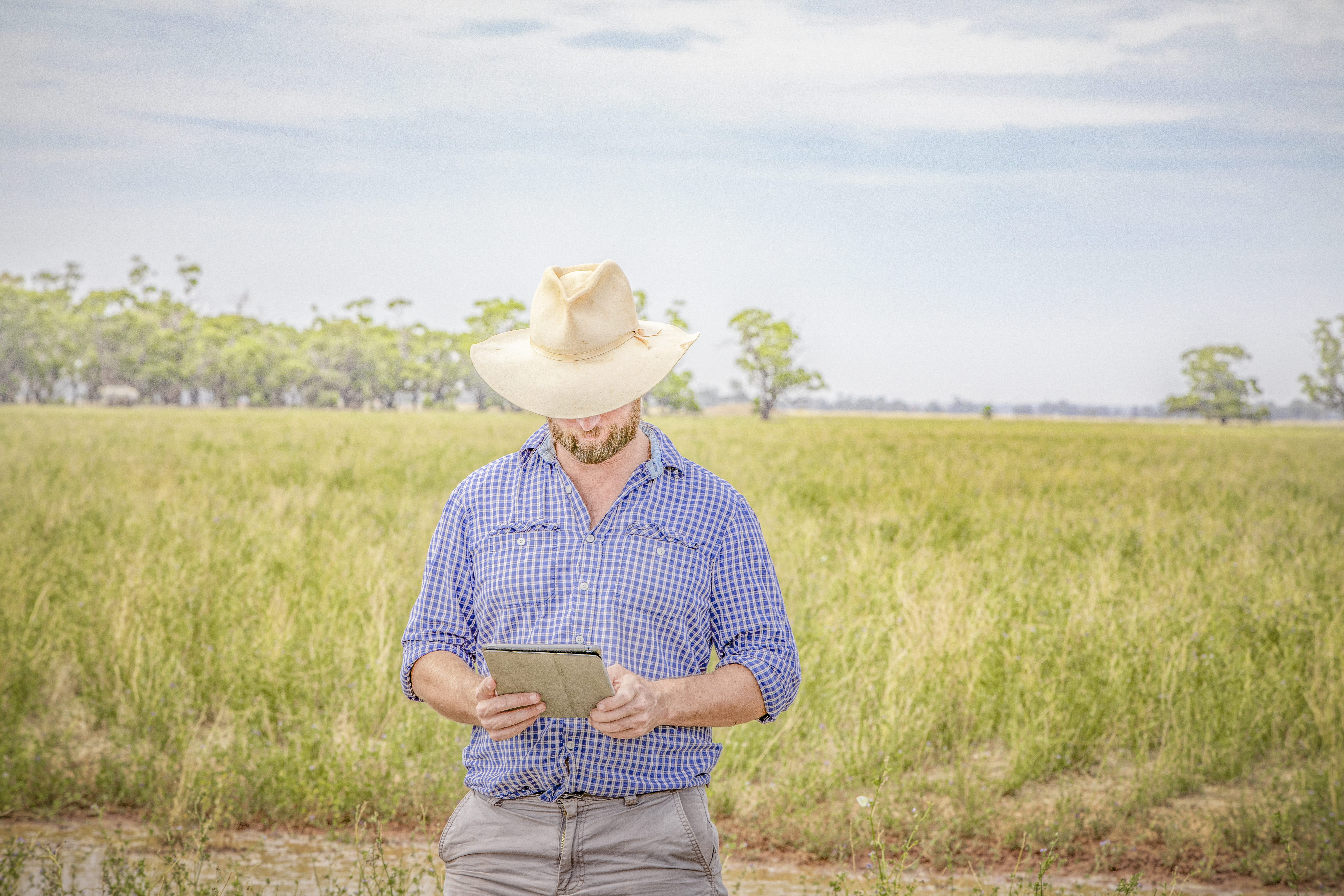 Agworld Farm Management Software Client, Tiverton Agriculture Impact Fund