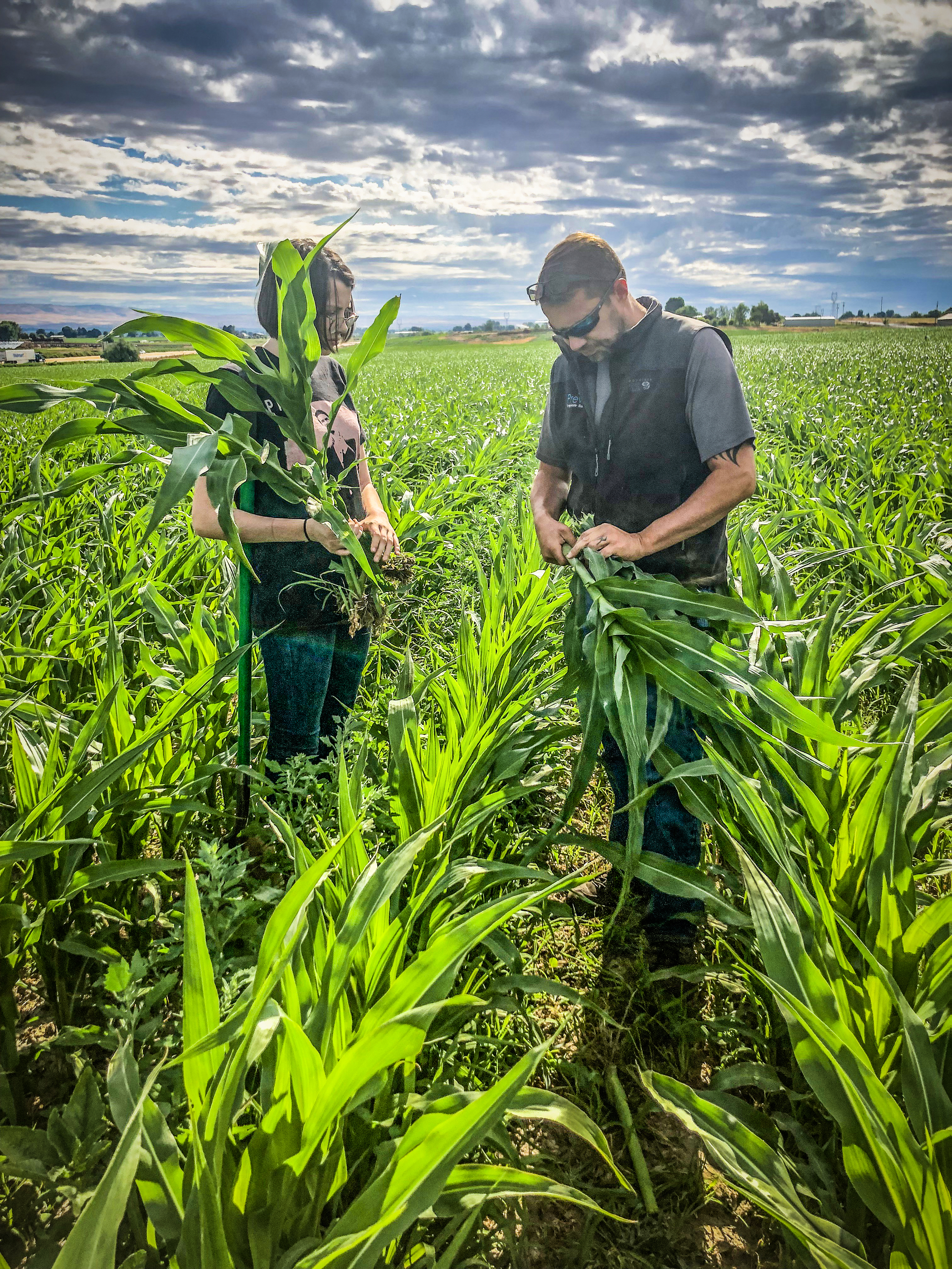Agworld Farm Management Software client, Treskilion Farms