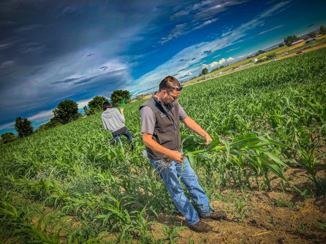 Agworld Farm Management Software Client, Treskilion, Sunnyside, WA