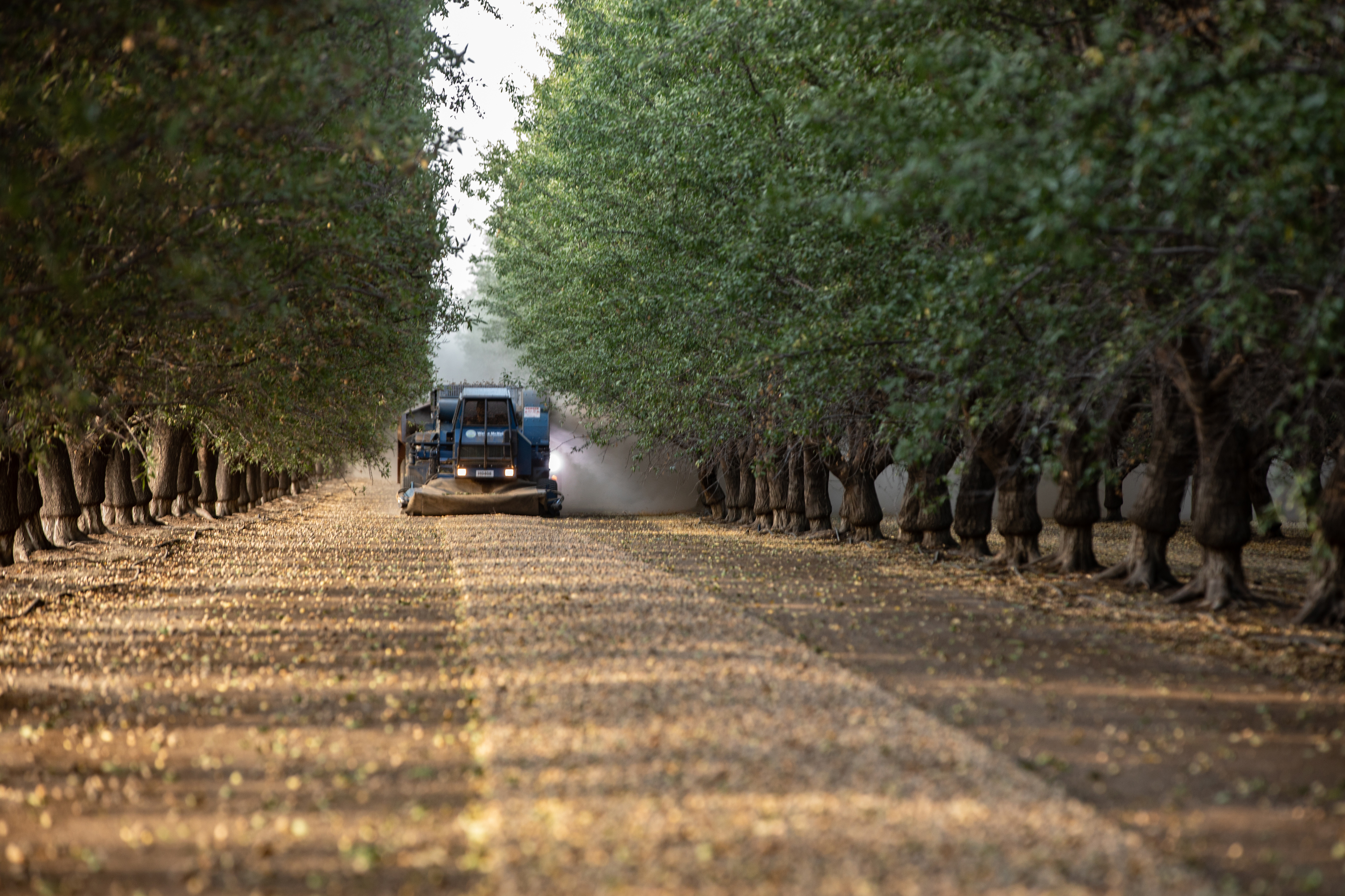 Vann Brothers Agworld Case Study Blake Vann