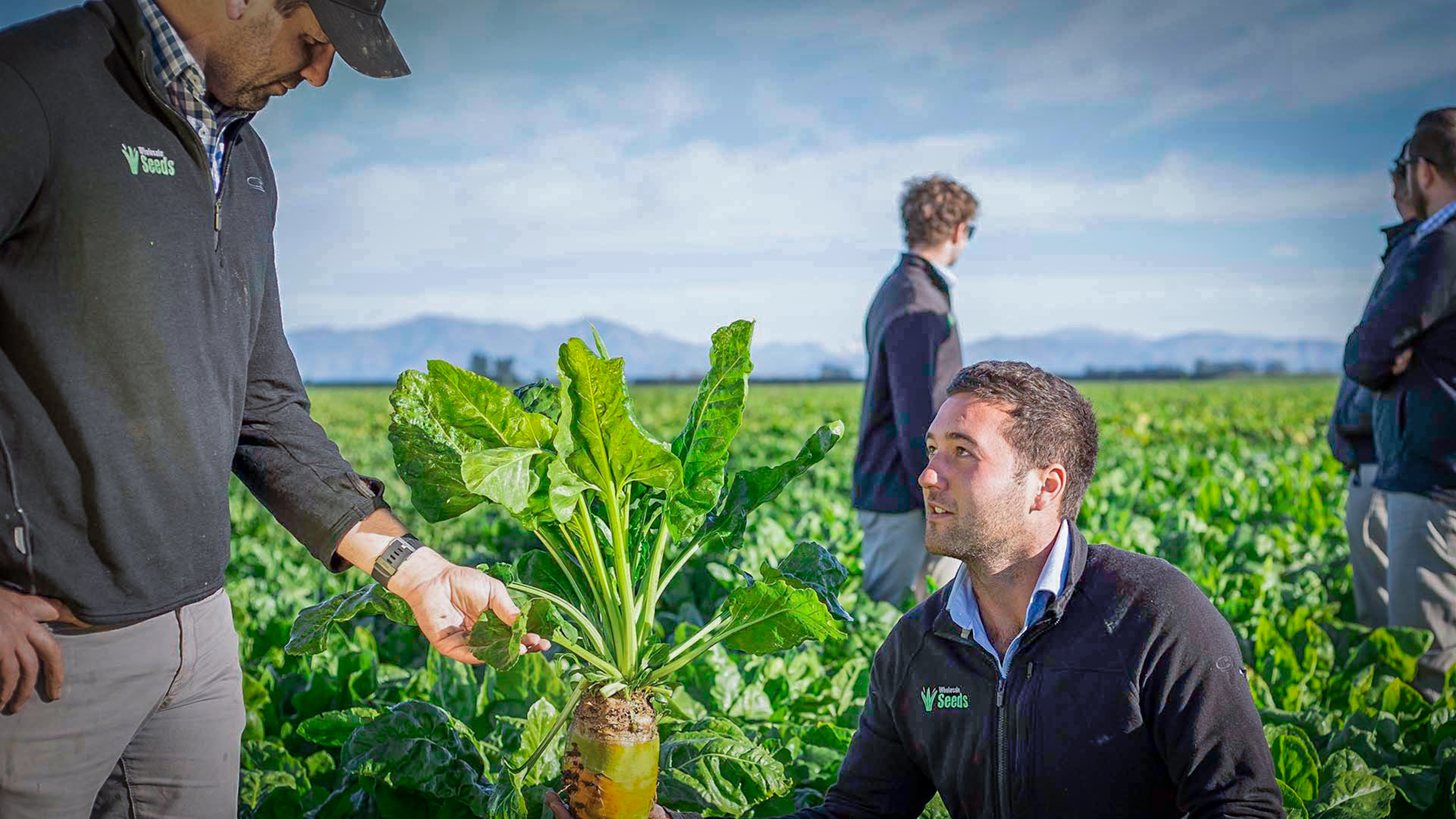Agworld Farm Management Software customer Patrick Davis in the field. Wholesale Seeds, Ashburton NZ.