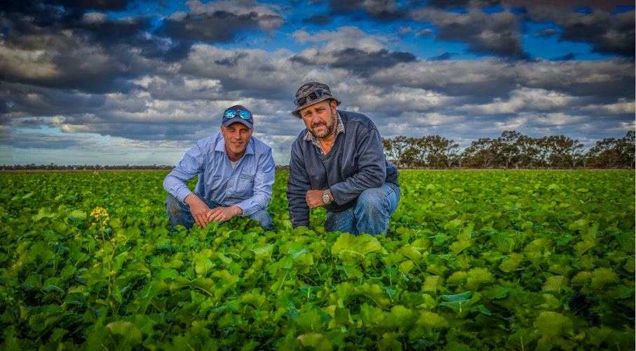 Agworld Farm Management Software Client, Yenda Producers Coop, NSW, Australia
