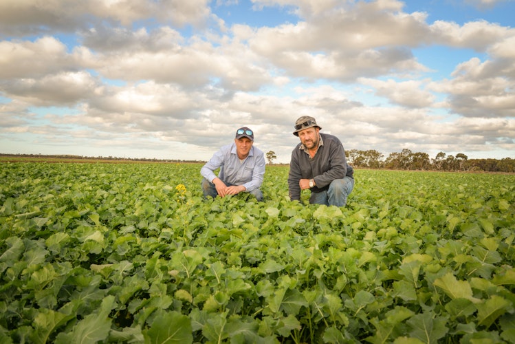 Now available: add and manage your Licenses in Agworld