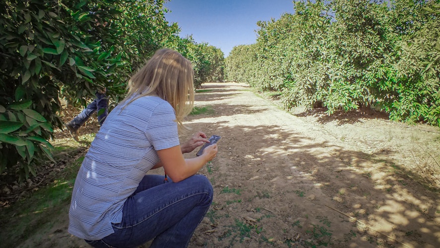 New Compliance features now available in Agworld