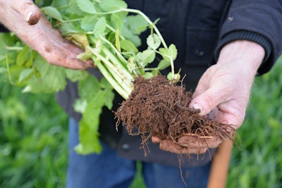 Agworld soil health, farmer holding crop