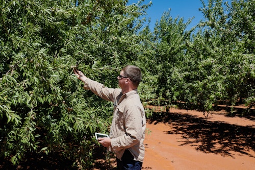 Agworld Farm Management Software customer in the barley field, making informed decisions by using Agworld.