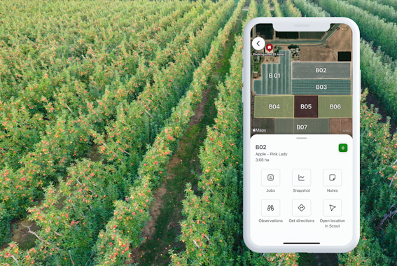 Agworld Farm Management Software customer in the corn field, making informed decisions by using Agworld.