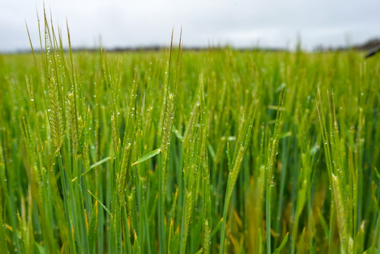 Agworld integrated with A&L Canada Laboratories