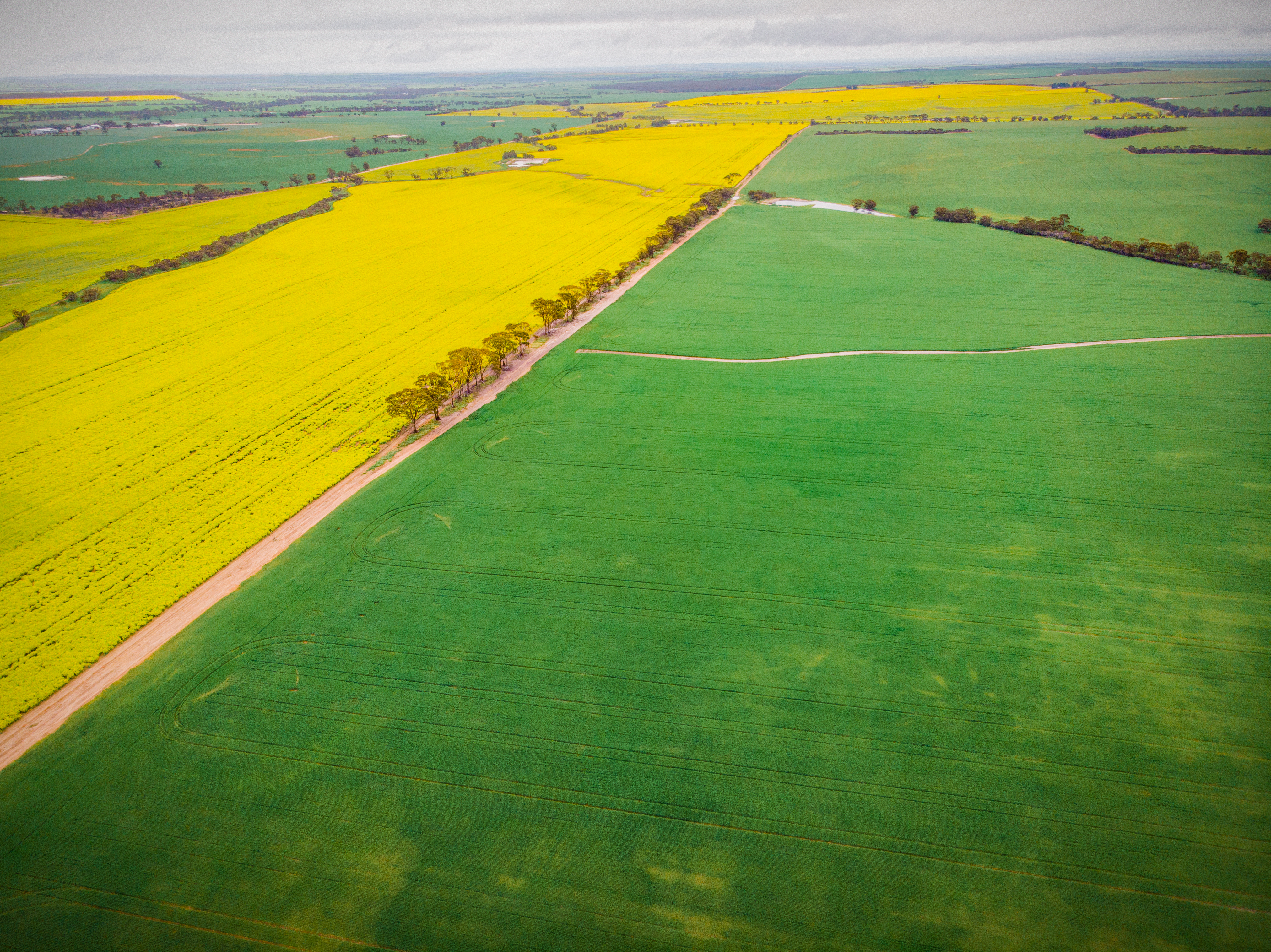 When the sum is greater than its parts