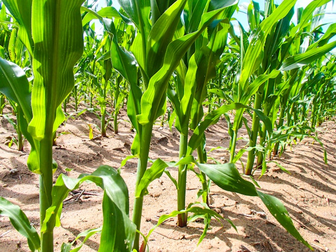 Agworld Record Keeping