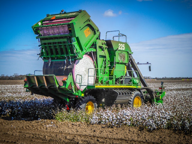 Cotton, Consultants and the Value of Good Data