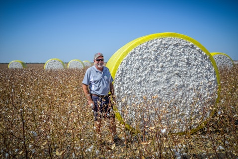 Agworld crops, cotton picking field