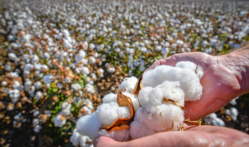 Expanding Agworld’s team