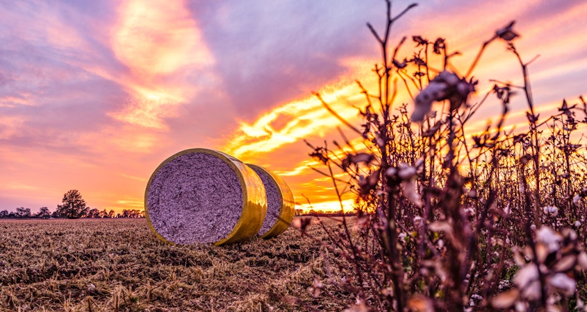 Win with Agworld Win with Agworld