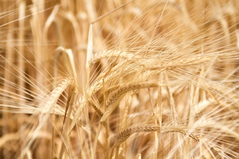 Matt Lane and Neil Durning Agworld crop wheat
