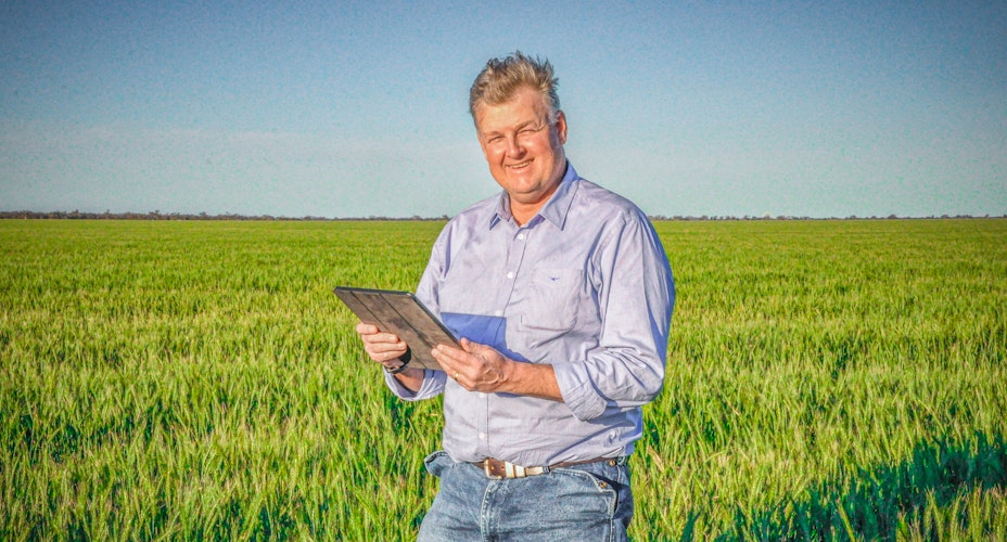 Agworld crops, cotton field
