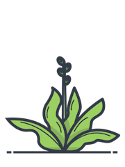 Agworld Pro product tier icon