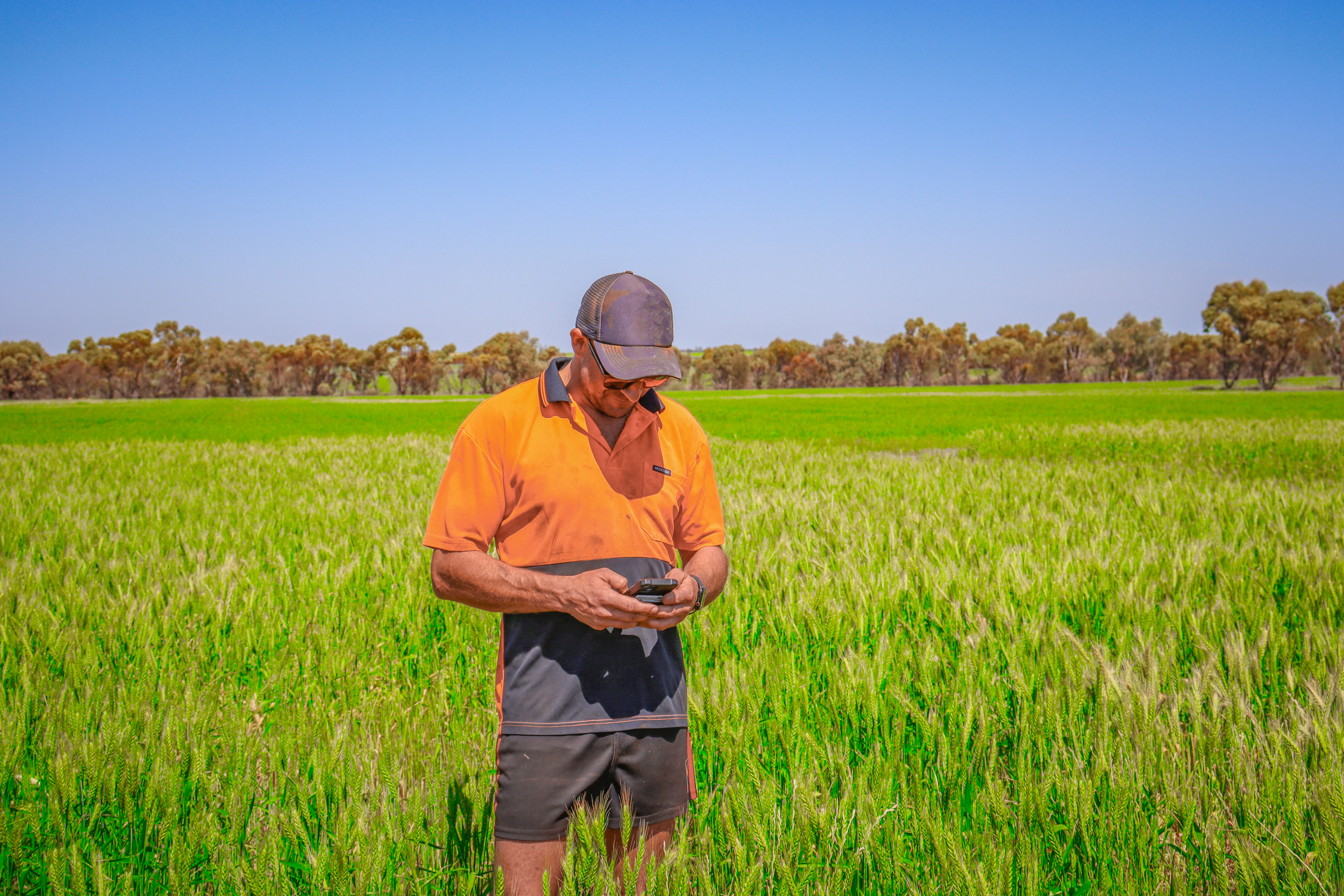 Agworld Farm Management Software Client, Yeringa Park Estate