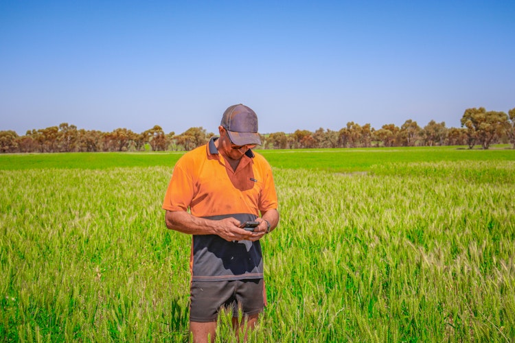 Agworld Farm Management Software Client, Yeringa Park Estate